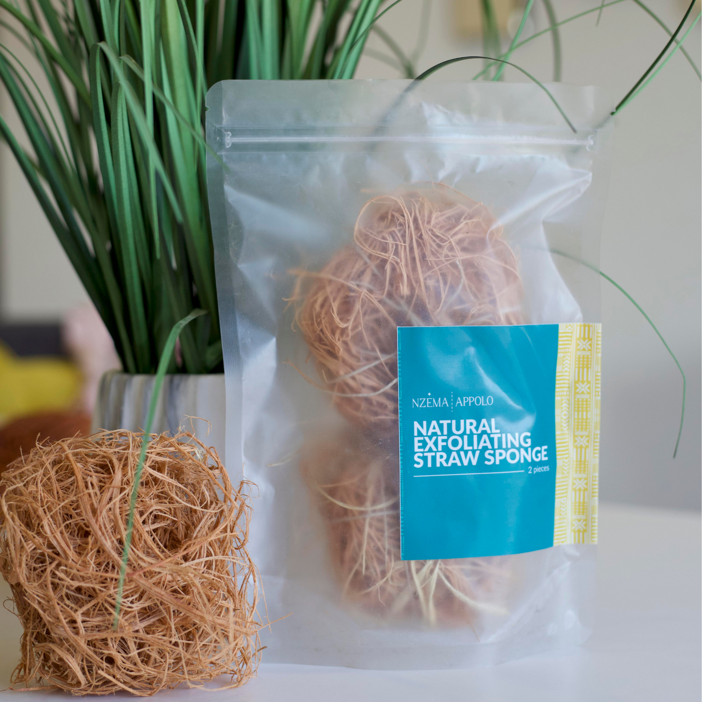 Exfoliating Sponge