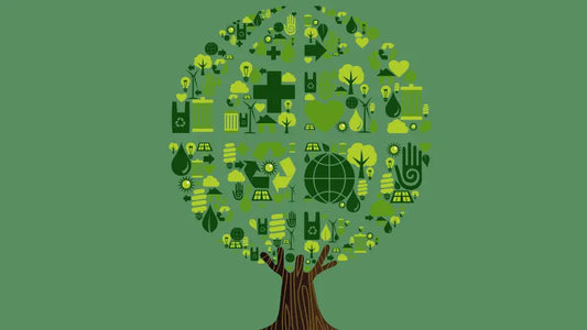 The Journey from Nature to You: How Nzema Appolo Creates Skincare Magic Nzema Appolo