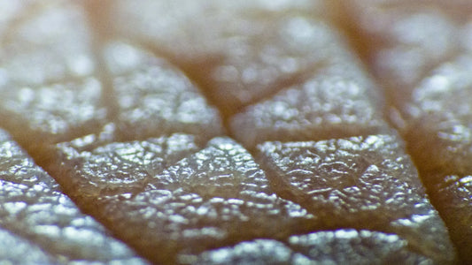 O My Gash, My Skin! Nzema Appolo